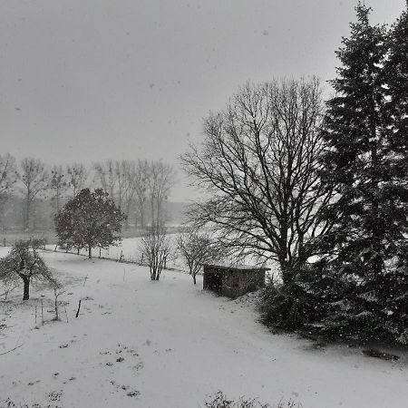 Ferienwohnung Ehemalige Revierfoersterei "Morgensuenn" Kuhstorf Buitenkant foto