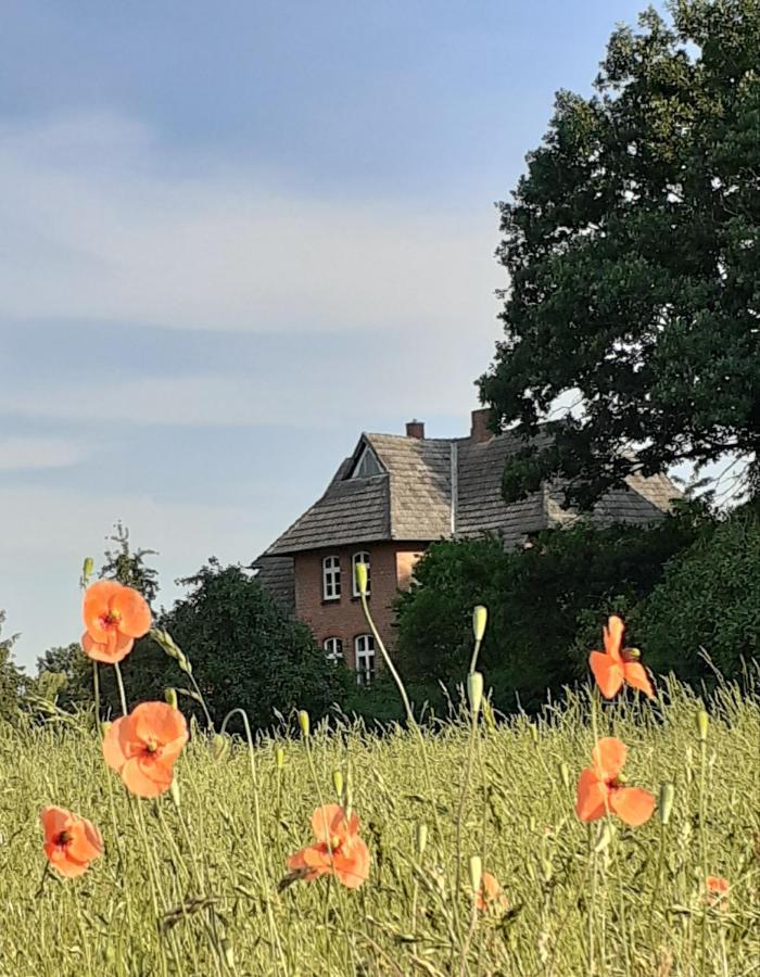 Ferienwohnung Ehemalige Revierfoersterei "Morgensuenn" Kuhstorf Buitenkant foto