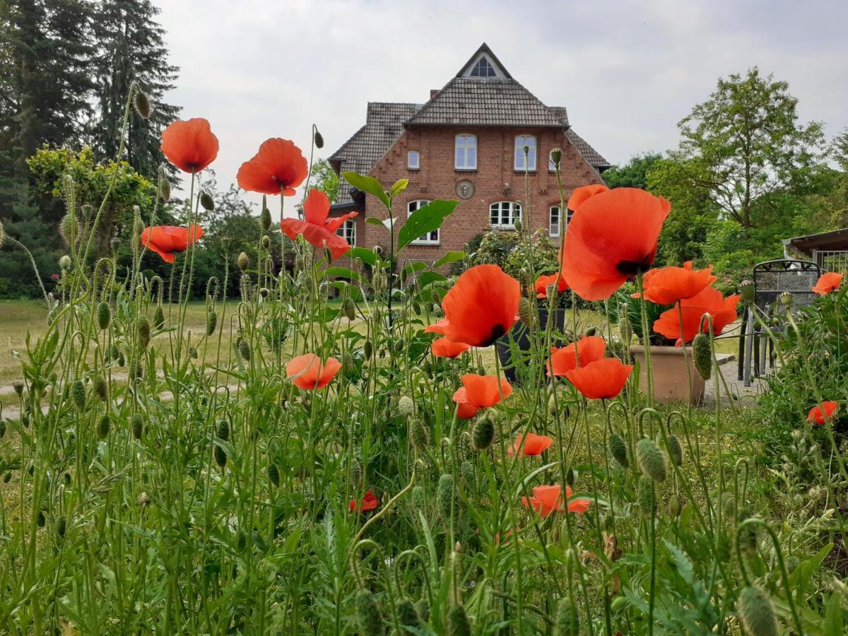 Ferienwohnung Ehemalige Revierfoersterei "Morgensuenn" Kuhstorf Buitenkant foto